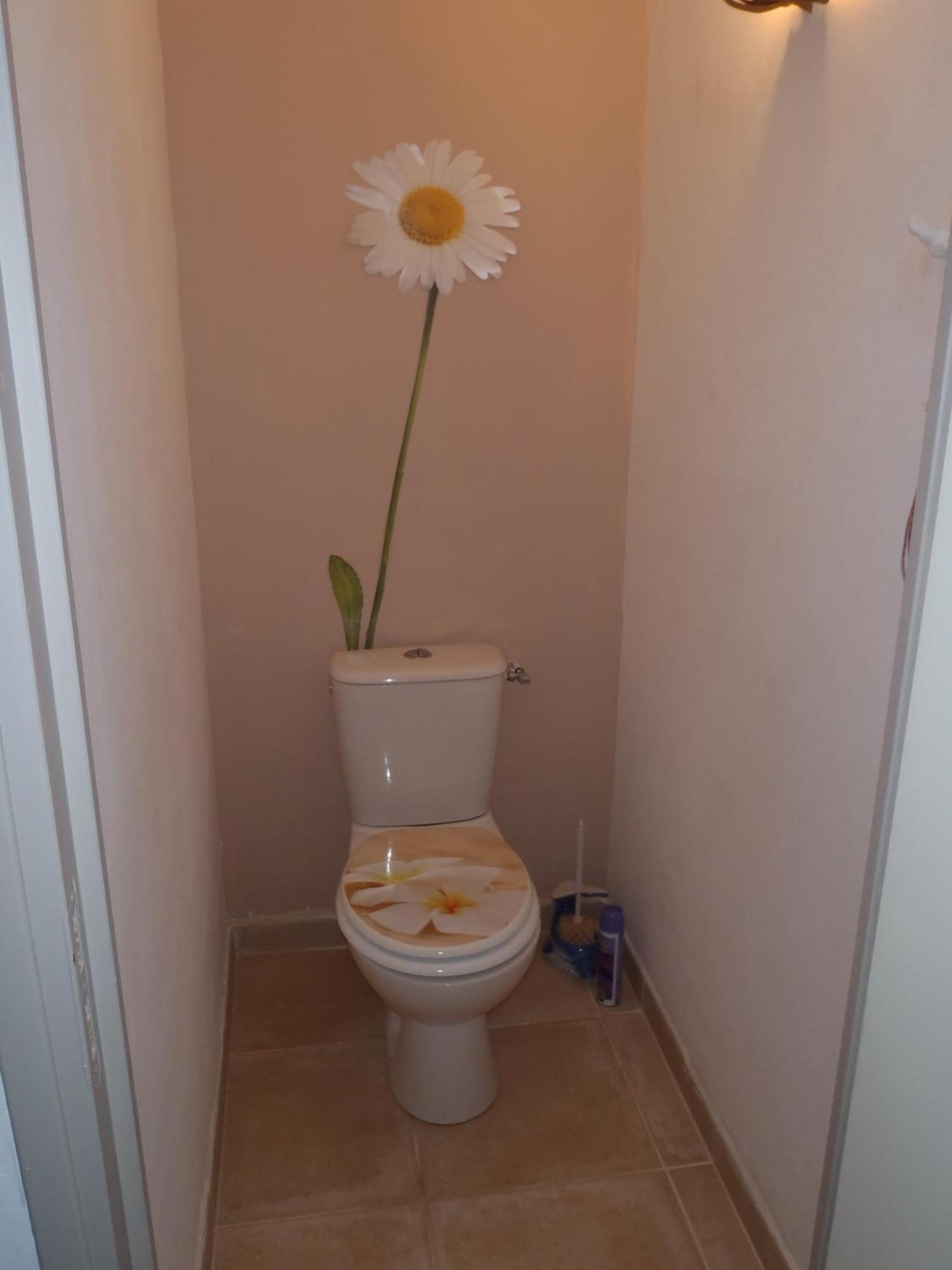 Apartamento Les Chevrefeuilles Manosque Habitación foto